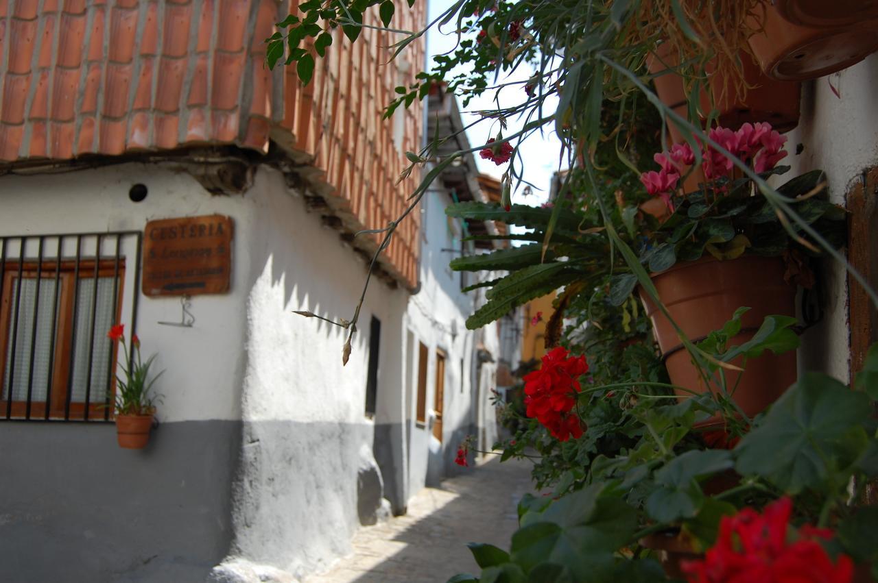 Apartamento La Iguana Hervás