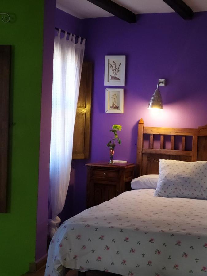 La Iguana Apartamento
